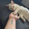 haleyc48