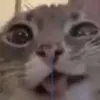 santanaaaaaaaaaaa