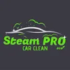 steampro_carclean