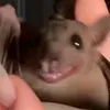 xperryyxx