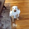 user_47910275410273