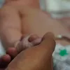 linatipelu