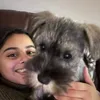 shamzyb_