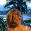 didbybri
