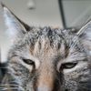 tiredkitty908