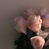 amina.novaa