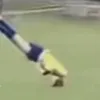 7.bheitz