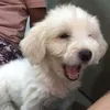 cutieoreo5