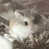kaitlynnl0528