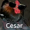 elvagocesar