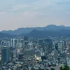 seoullife.d
