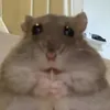 ashyknees_