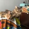 pennyandquentin