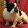 drusilla.jovi