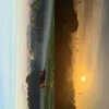 lvyyfrk0ceann