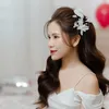 Mẹ Sóc và Nhím