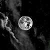 xxleon_20