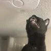 livefastdieyoung121