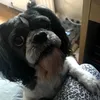 chloewells23