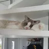 kakancookiee