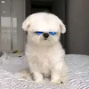 munlovesbread