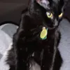 justkiddingyouthought