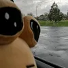 succodicoochie