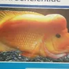 mandjeslover