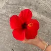 maiabrowwn