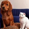miguel.and.marcel
