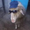jildubai