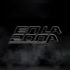 enlazonatv