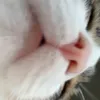 littlelifeofmine04