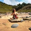 alineazevedo20