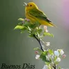 alvaroera
