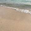 monona_88