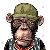 rino.muc