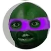 ninjaturtlnils