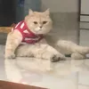 meobeokhung