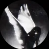angelxarchive_