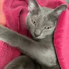 mi_9134