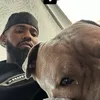 vypzzz