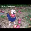 thisjoselo.yt