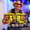 djtigreokc