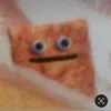 astrudel00