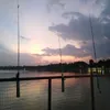 rakitbuluh8
