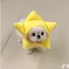 ciiunater