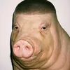 qheo2