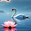 _qibtya88