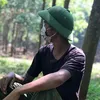 rmjack657